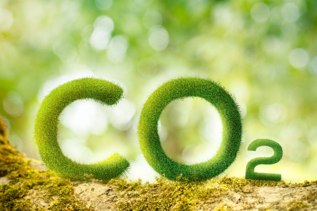 CO2 Icon Environmental Travel